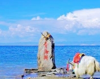 青海湖純玩一日游【青海旅游精品散客】
